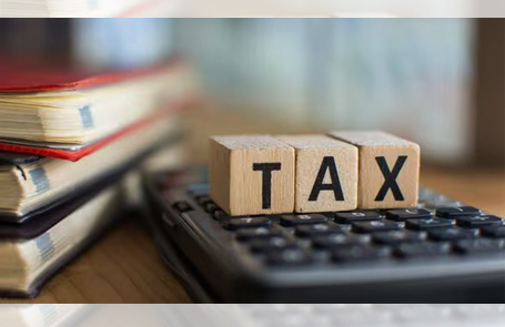 Professional Tax Services